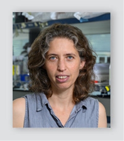 Prof. Noam Stern-Ginossar